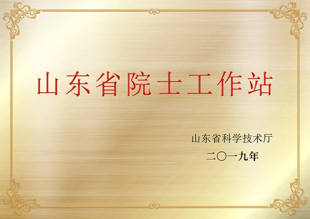 山东省院士工作站